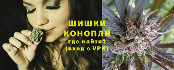 гидра Балахна